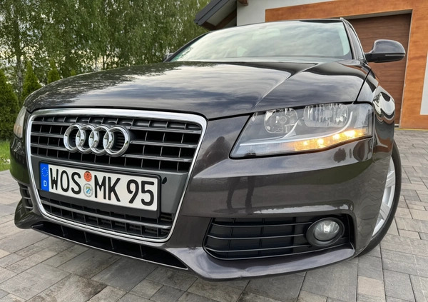 Audi A4 cena 24900 przebieg: 222534, rok produkcji 2008 z Otmuchów małe 781